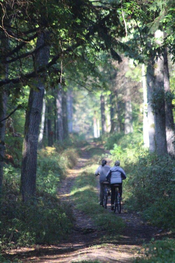 Wejmutka, Bialowieza Apartman Kültér fotó